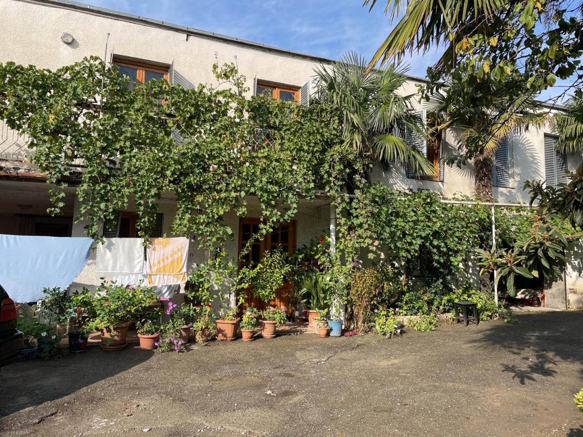Guesthouse Georgia Sagarejo Bagian luar foto