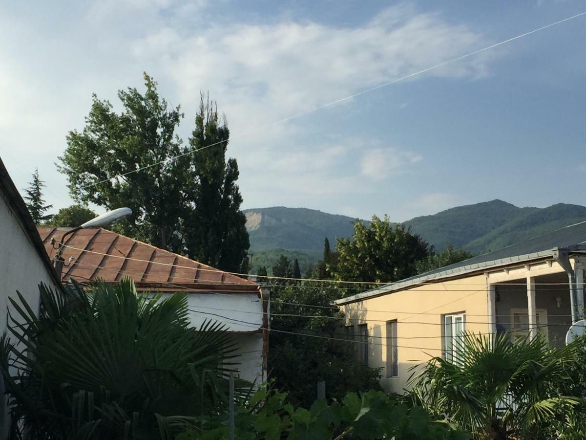 Guesthouse Georgia Sagarejo Bagian luar foto